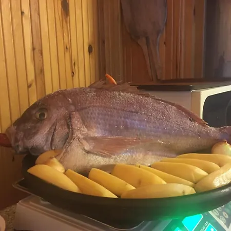 Liman Palamutbuekue *
