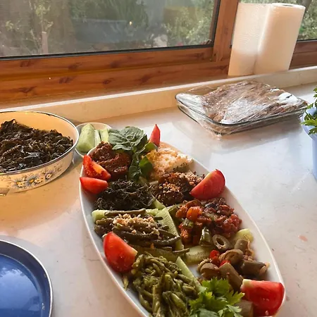 Liman Palamutbuekue 호텔 *