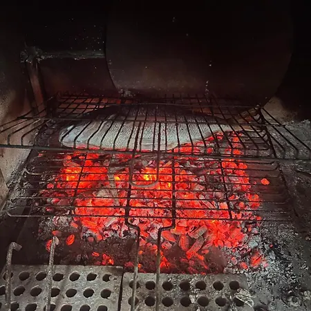 Liman Palamutbuekue 닷차