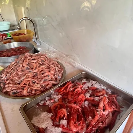Liman Palamutbuekue 호텔 닷차